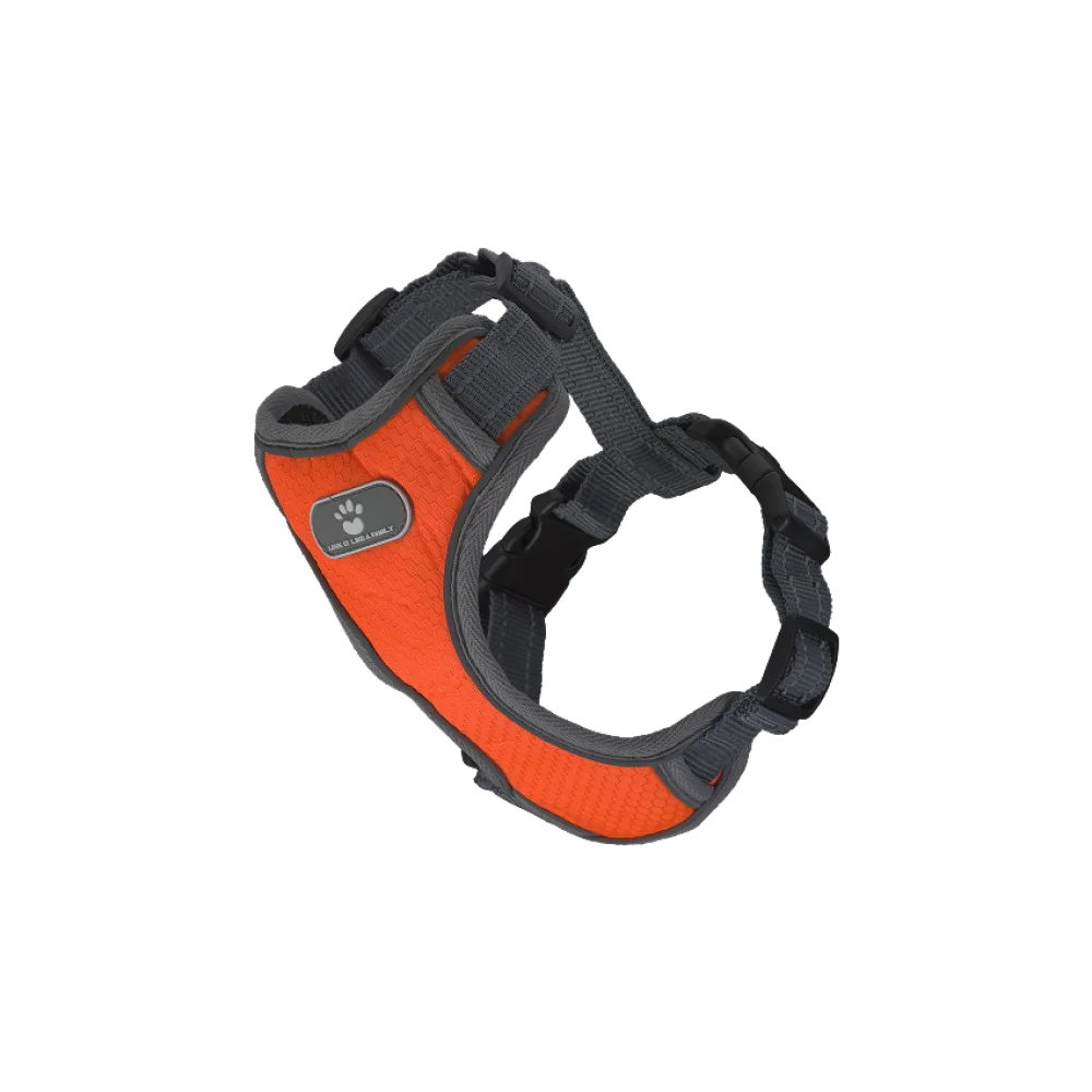 Шлея анатомічна світловідбивна AnimAll HL-8005-1 для собак, колір помаранчевий, S 28-48 см